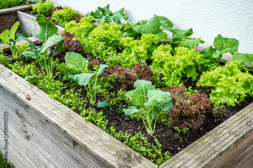 Hochbeet im Frühling