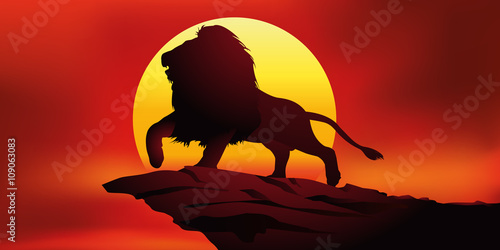 Lion - Roi des animaux