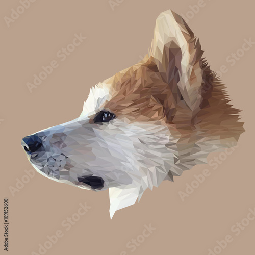 Akita Inu dog animal low poly design. Triangle vector illustration. 