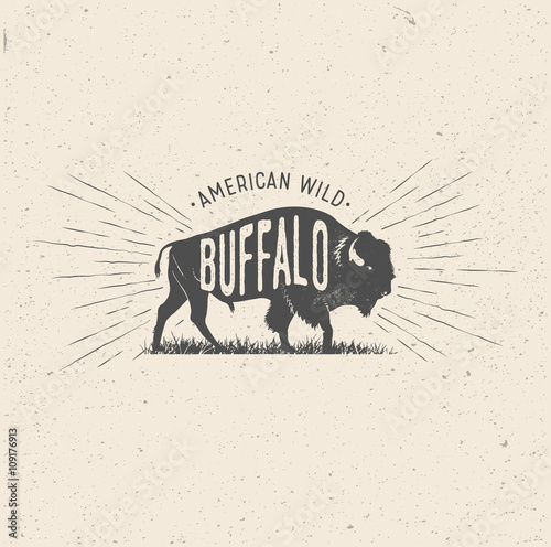 Wild Buffalo. Vintage styled vector illustration of the american buffalo. 