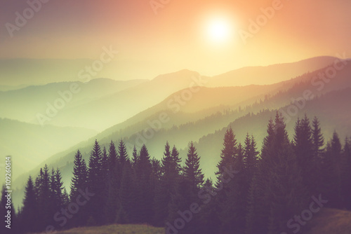 Landscape of misty mountain hills and forest. Fantastic evening glowing by sunlight.