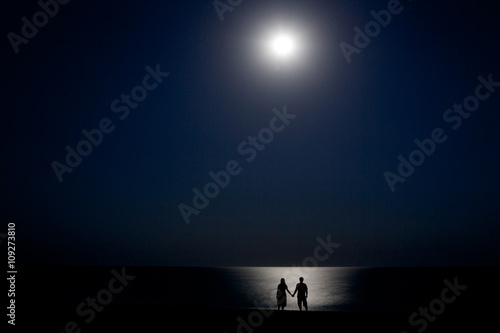 couple on the shore at night in the moonlight