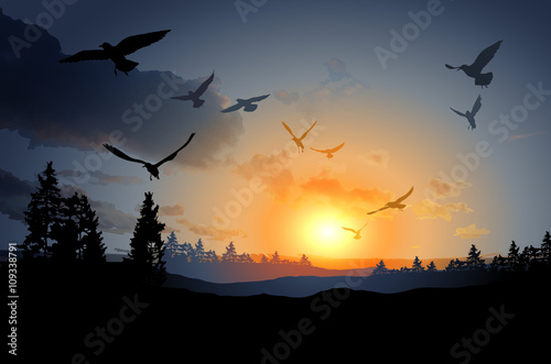 forest landscape with flock of flying bird