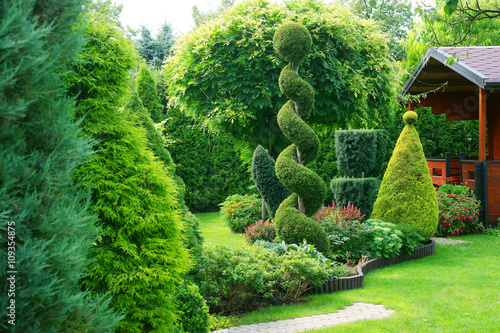 Shorn ornamental plants in a garden