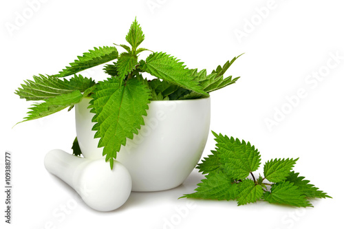 Fresh nettle in a mortar isolated on white