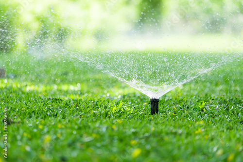 Automatic garden lawn sprinkler in action watering grass