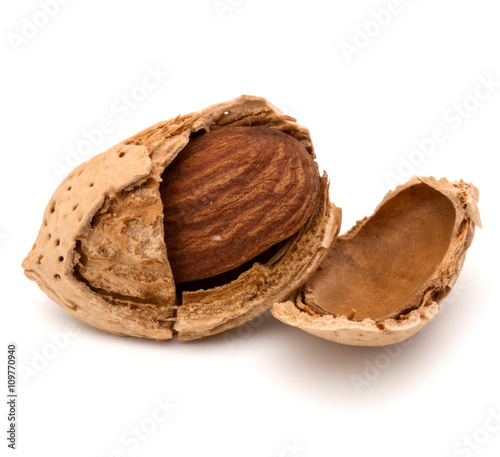 Almond nut in shell and shelled isolated on white background clo