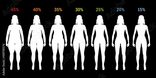 Fat percent of girl from fat to slim silhouette