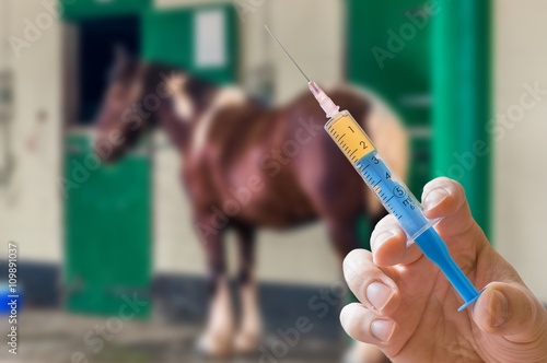 Hand of veterinarian holds syringe. Horse in background. Vaccination concept.