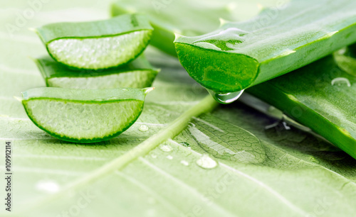 Aloe sliced