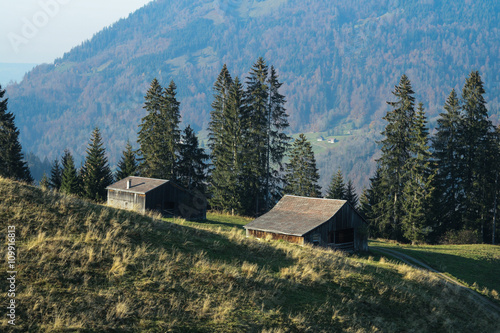Holzbauweise im Bregenzerwald