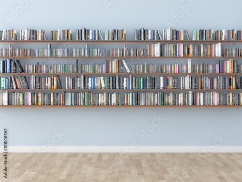 interior bookshelf room library 