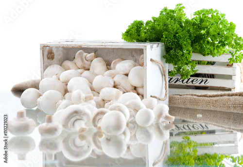 champignon on white background