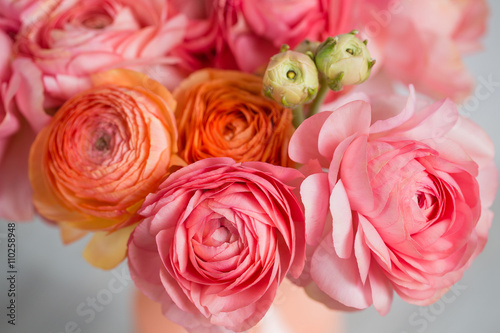 bunch of pale pink ranunculus persian buttercup light background, wooden surface. glass vase