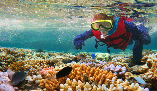 Child snorkeling in Great Barrier Reef Queensland Australia
