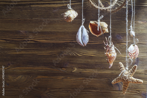 Seashells and starfish hanging on the rope, vintage styling