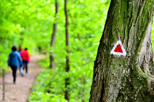 Hiking paint marking on a trail