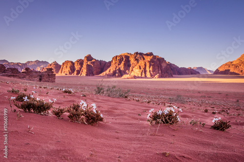 Spring Wadi Rum desert - Valley of the Moon in Jordan. UNESCO Wo