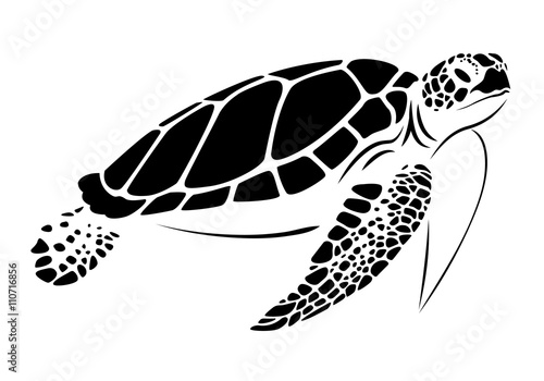 graphic sea turtle, vector