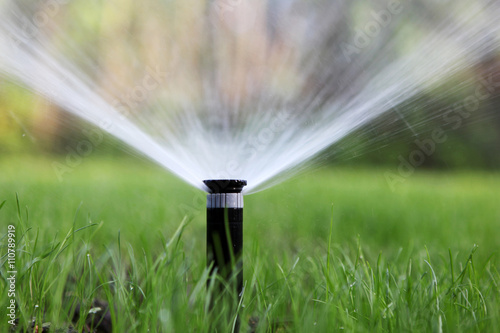 sprinkler of automatic watering