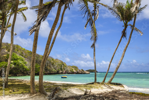 Bequia - rajska plaża z palmami