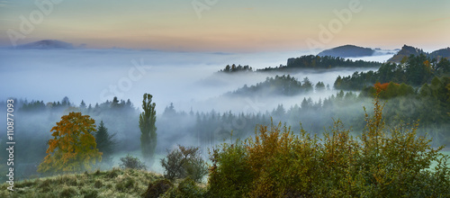 Foggy morning in the landscape