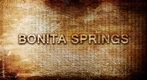 bonita springs, 3D rendering, text on a metal background