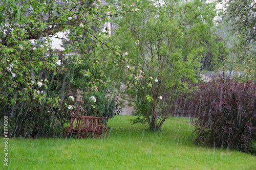 Wetter: Garten im Regen mit Bäumen und Leiterwagen