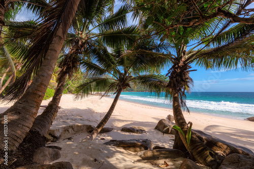 Palm trees on beach Anse Intendance at Seychelles, Mahe. Fashion travel and tropical beach concept