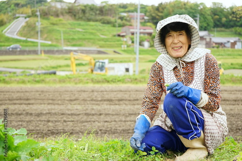 Senior woman growing organic fresh vegetables in the garden / 畑で野菜作りをする高齢者 収穫 栽培 野菜 おばあさん おじいさん 農業 趣味