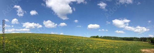 Панорамный вид зеленых холмов с цветущими желтыми одуванчиками под синим облачным небом. Окно в природу.