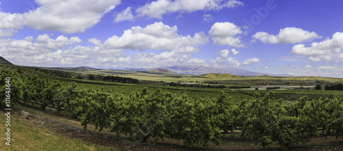 Panoramic view of golan heights