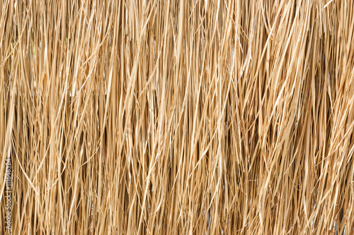 Close up yellow straw wall texture backgrond