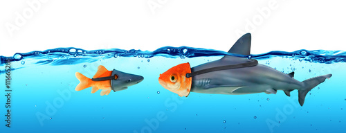 Deception Concept - Disguise Between Shark And Goldfish 