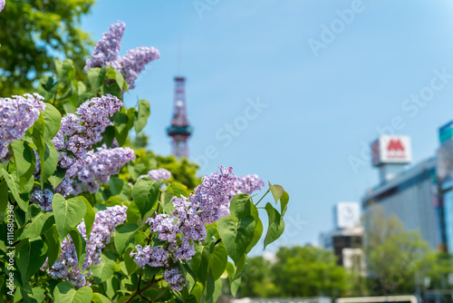 札幌大通公園