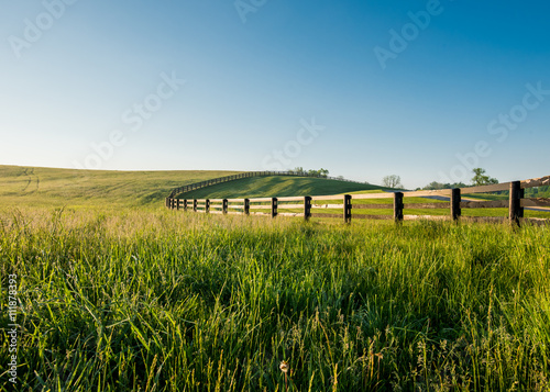 Tall Dewy Grass in Rolling Hills of Kentucky