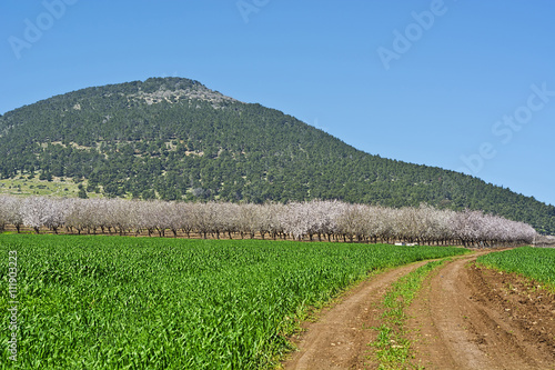 Mount Tabor in Israel