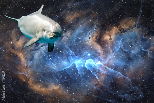 Dolphin in space universe background look at you