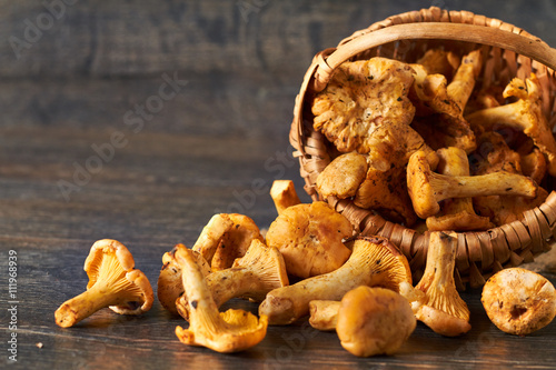 Vintage basket of chanterelles mushrooms from forest on a wooden planks background
