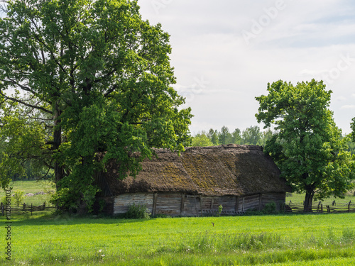 Stara stodoła na zielonej łące wśród drzew