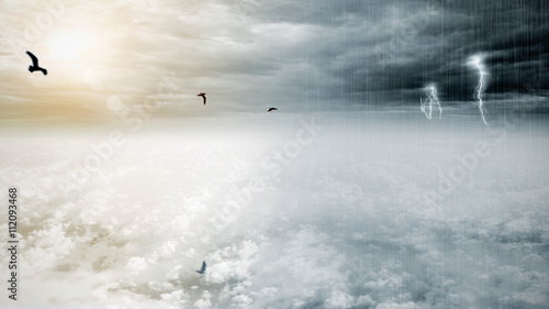 Bird flying on fantasy opposite weather sky, beautiful sun and ominous stormy sky clouds, infinity conception for composite