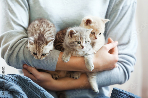 Woman holding small cute kittens