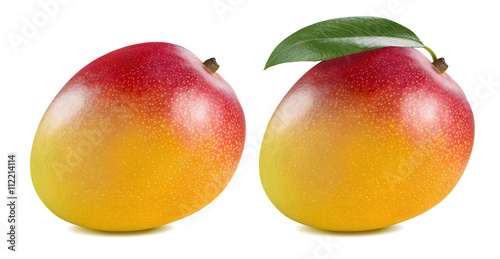 Double whole mango leaf isolated on white background