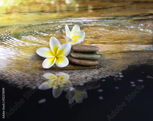White and yellow fragrant flower plumeria or frangipani on crystalline water surface with amazing nature touch mood , warm and relax background