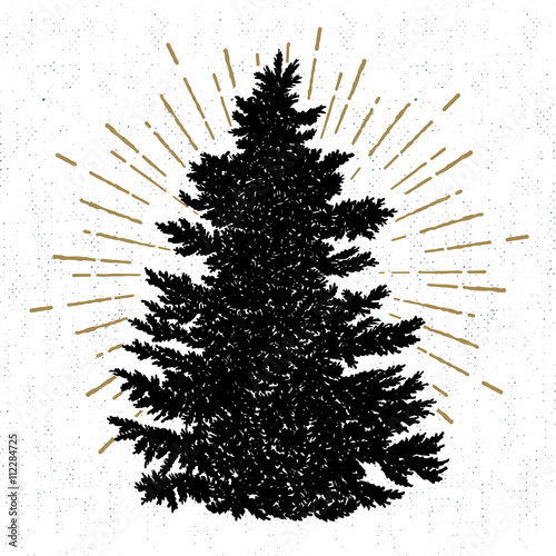 Hand drawn icon with a textured fir tree vector illustration.