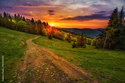 Path in polish mountains