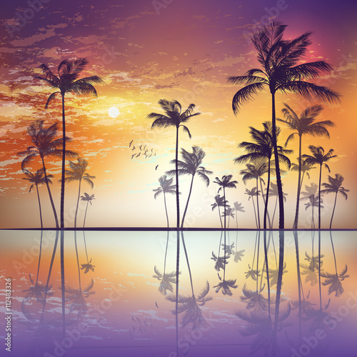 Exotic tropical palm trees at sunset or moonlight, with cloudy