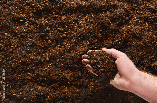 Soil texture background seen from above, top view.