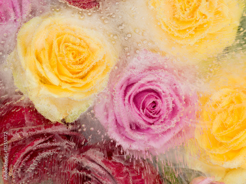 abstraction with different roses