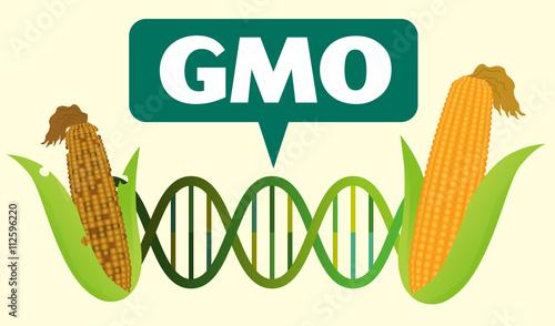 Genetically Modified Organisms (GMO) before after